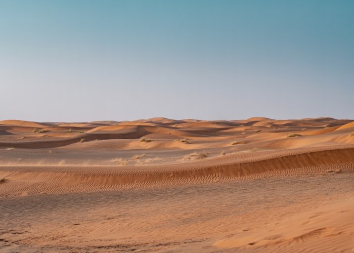 Sahara Desert midday sun, heat haze shimmering above sand dunes.
