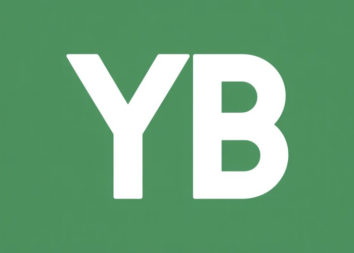 Image of a phone displaying a text message with 'YB' in it, with question marks above the phone.